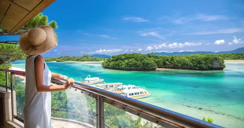 1772430614475041.png image.png