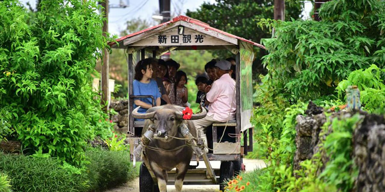 1772430894119408.png image.png